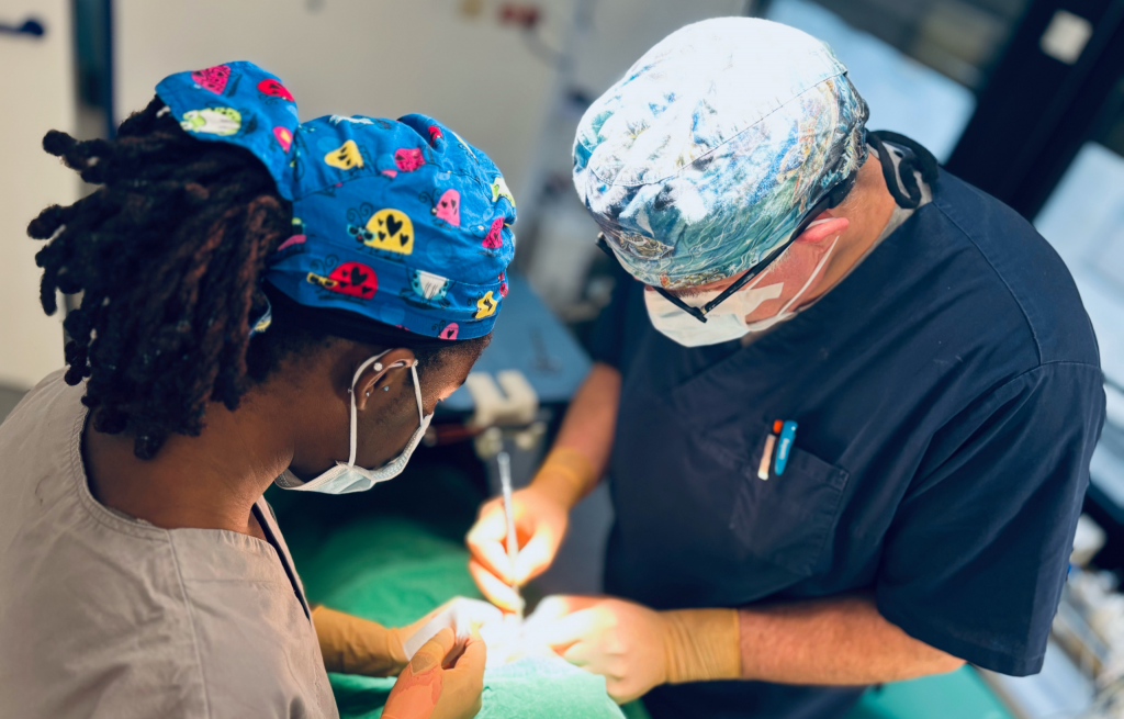 services bild - Oralchirurgie